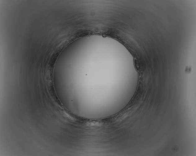 X0000094381058200711242017