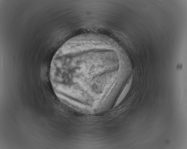 X0000094381060200711242017
