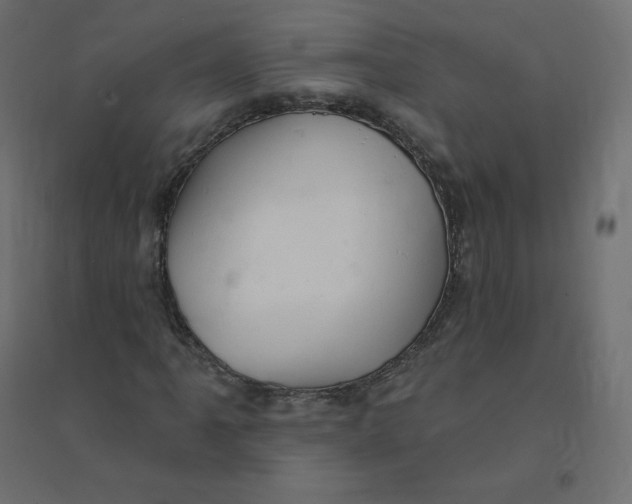 X0000094381061200711242017