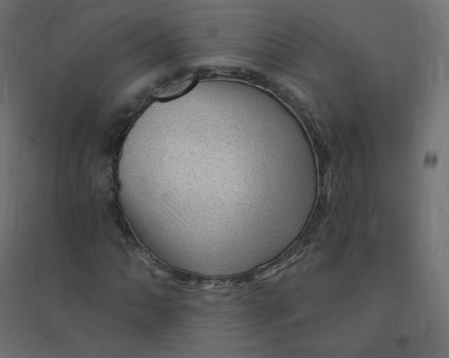X0000094381062200711242017