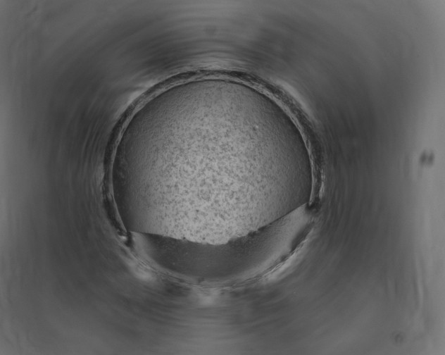 X0000094381065200711242017