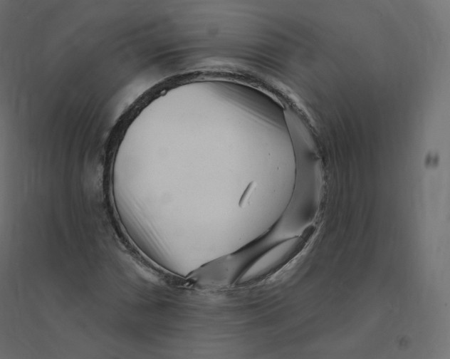 X0000094381066200711242017