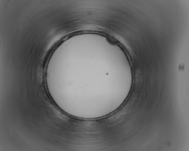 X0000094381067200711242017