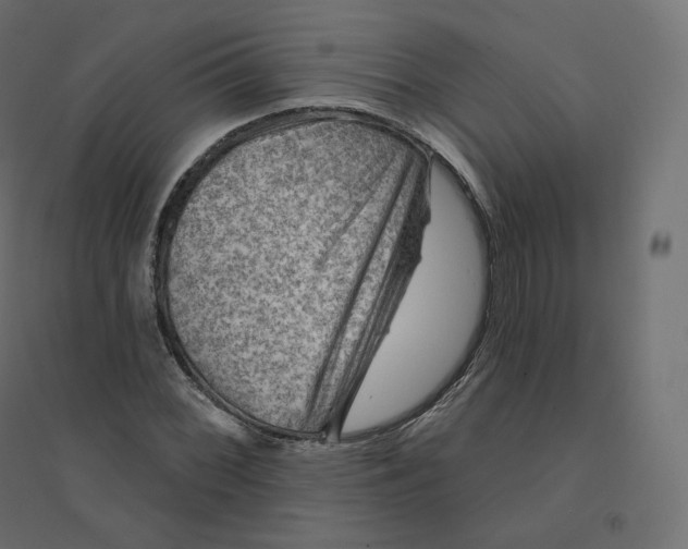 X0000094381068200711242017
