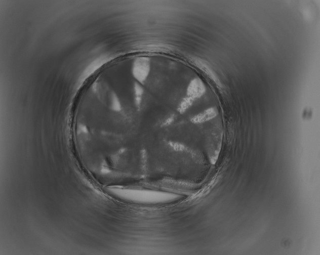 X0000094381071200711242017