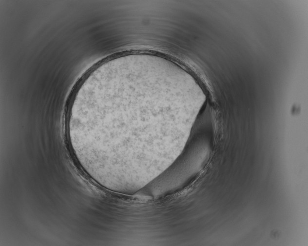 X0000094381076200711242017