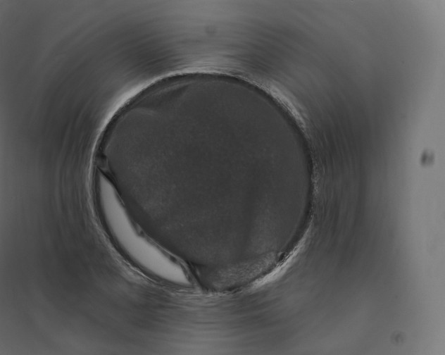 X0000094381077200711242017