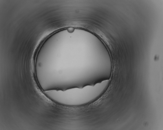 X0000094381080200711242017
