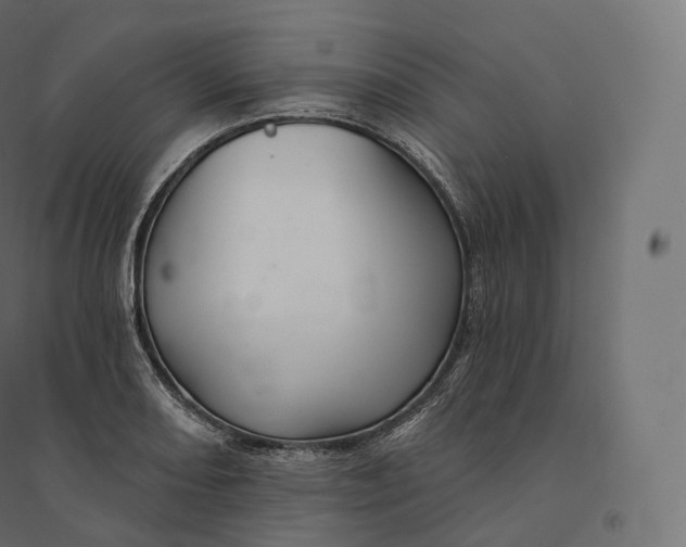 X0000094381082200711242017