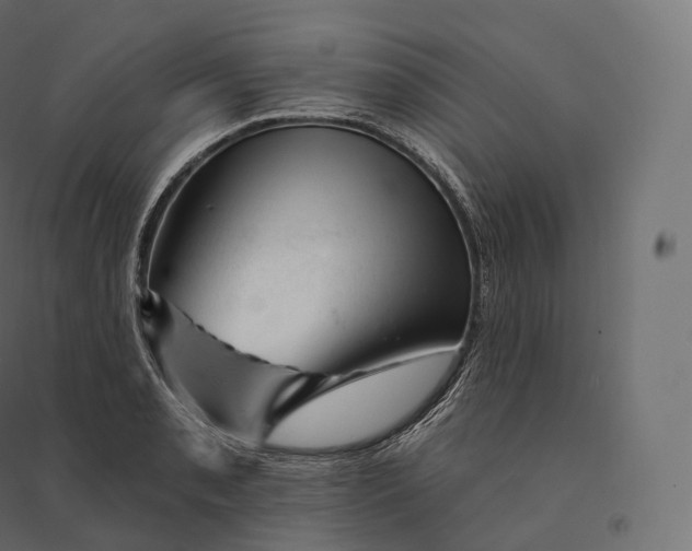 X0000094381085200711242017