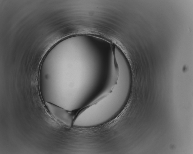 X0000094381089200711242017