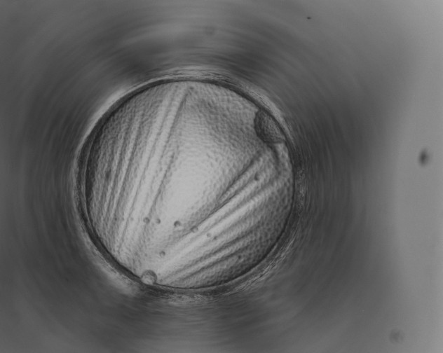 X0000094381091200711242017