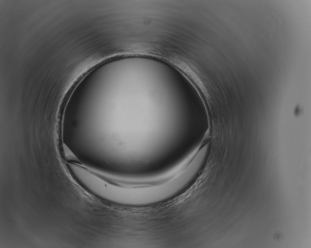 X0000094381093200711242017