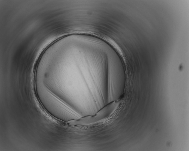 X0000094381096200711242017
