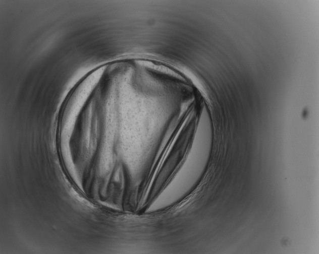 X0000094381102200711242016