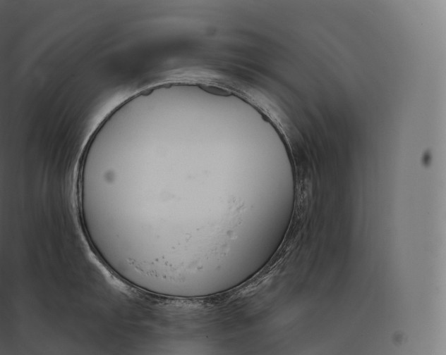 X0000094381103200711242016