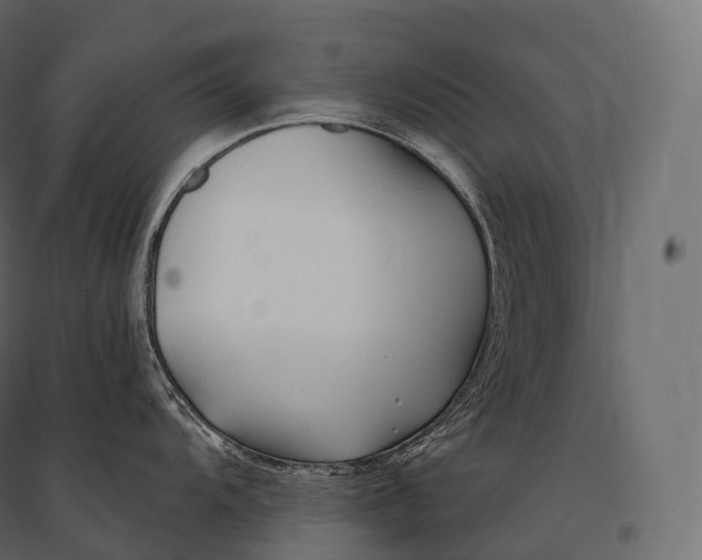 X0000094381104200711242016