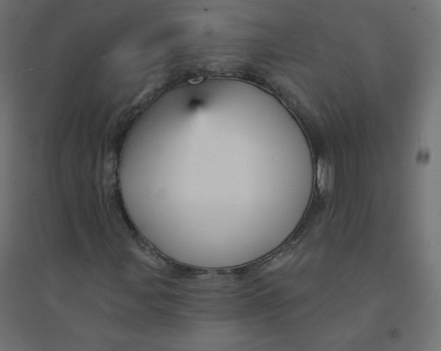 X0000094381107200711242016