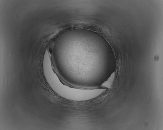 X0000094381109200711242016