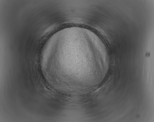 X0000094381110200711242016
