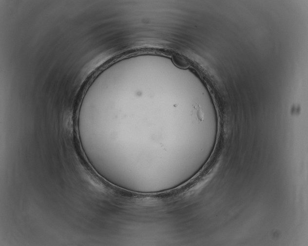 X0000094381113200711242016