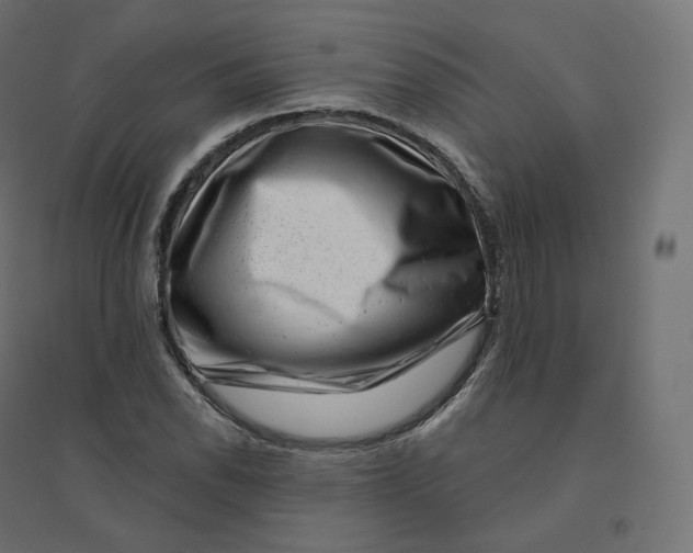 X0000094381118200711242016