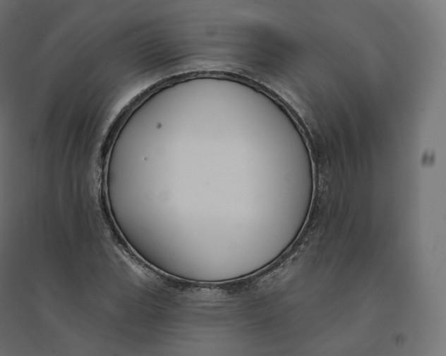 X0000094381119200711242016