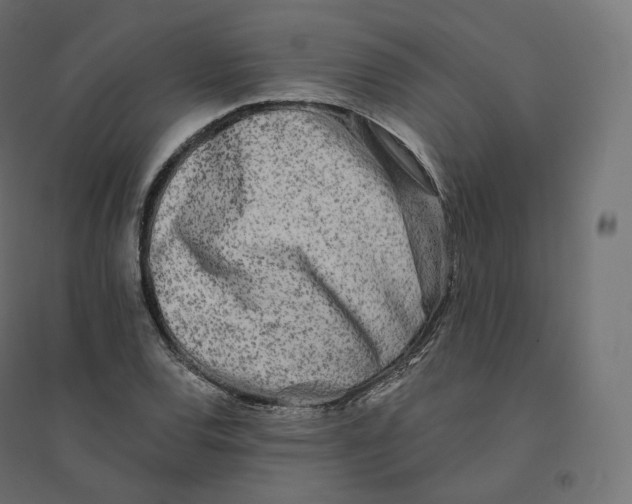 X0000094381120200711242016