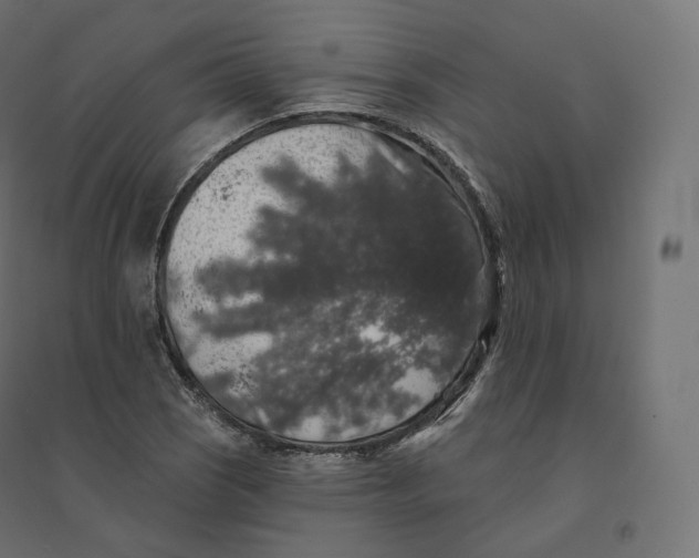 X0000094381121200711242016
