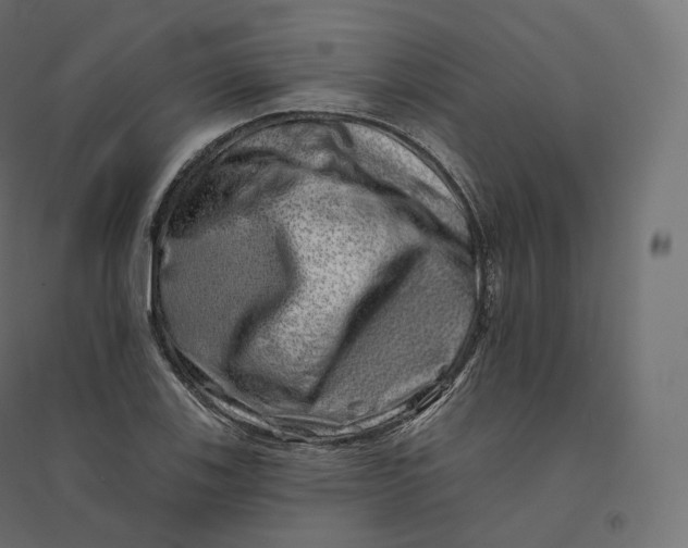 X0000094381123200711242016