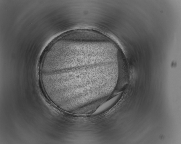 X0000094381124200711242016