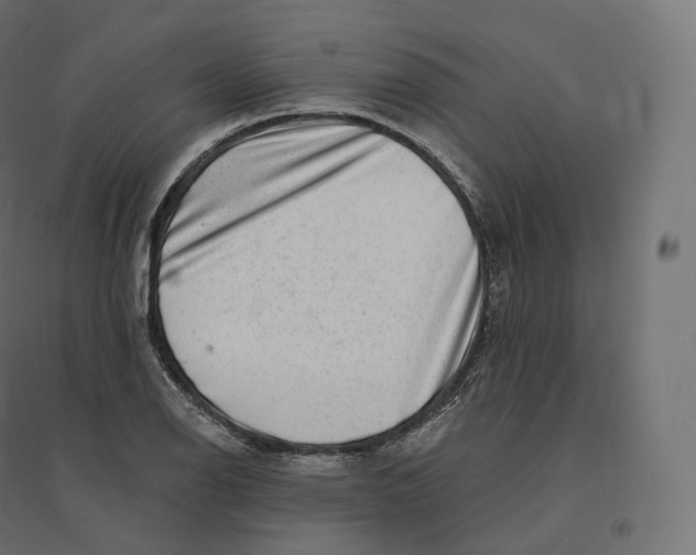 X0000094381126200711242016