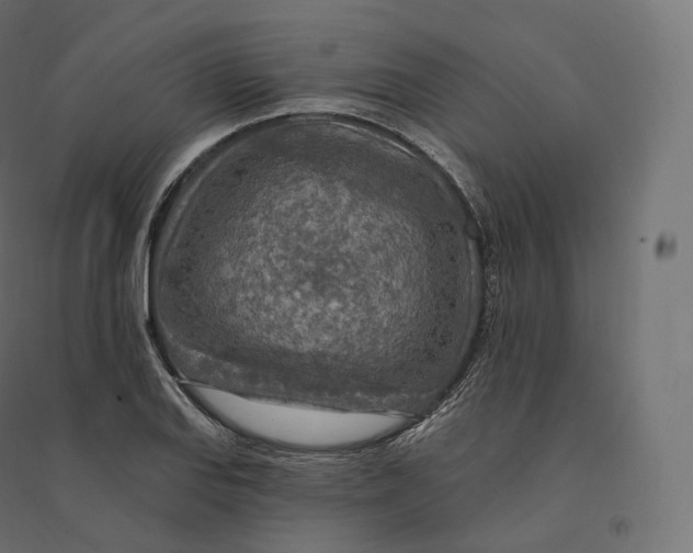 X0000094381127200711242016