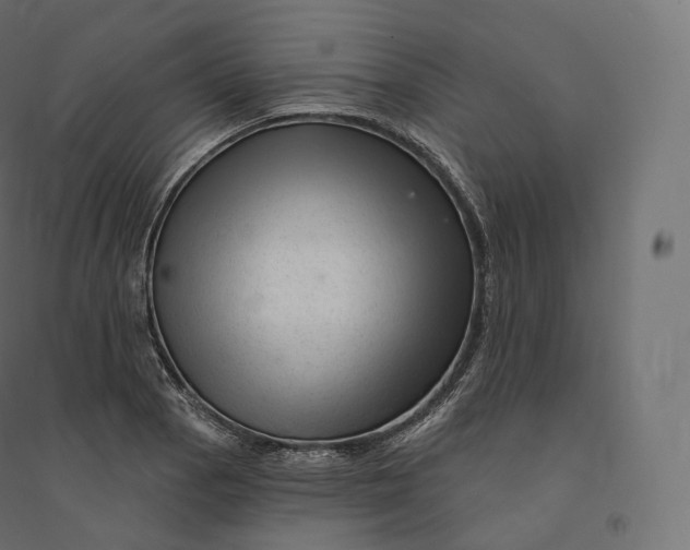 X0000094381129200711242016