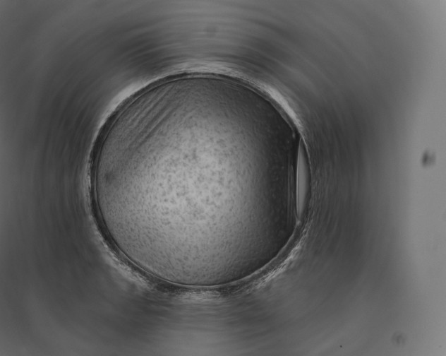 X0000094381133200711242016