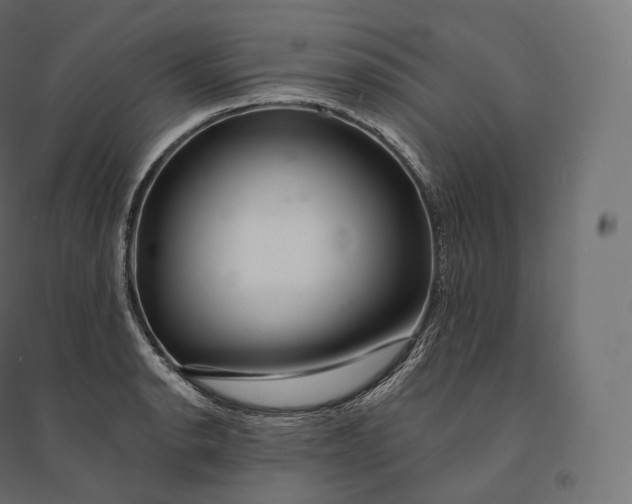 X0000094381134200711242016