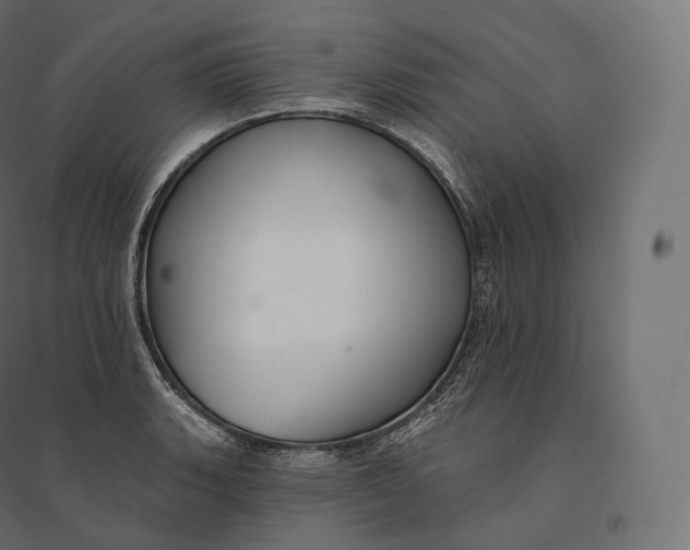 X0000094381135200711242016