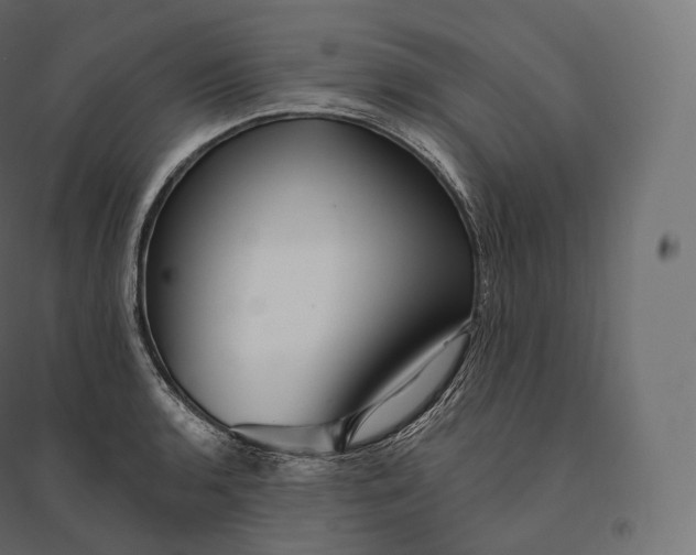 X0000094381136200711242016