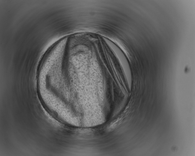 X0000094381143200711242016