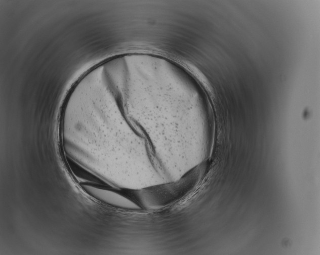 X0000094381144200711242016