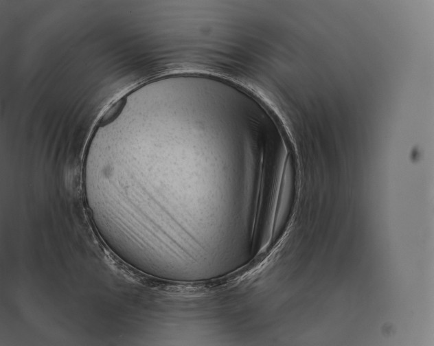 X0000094381145200711242016