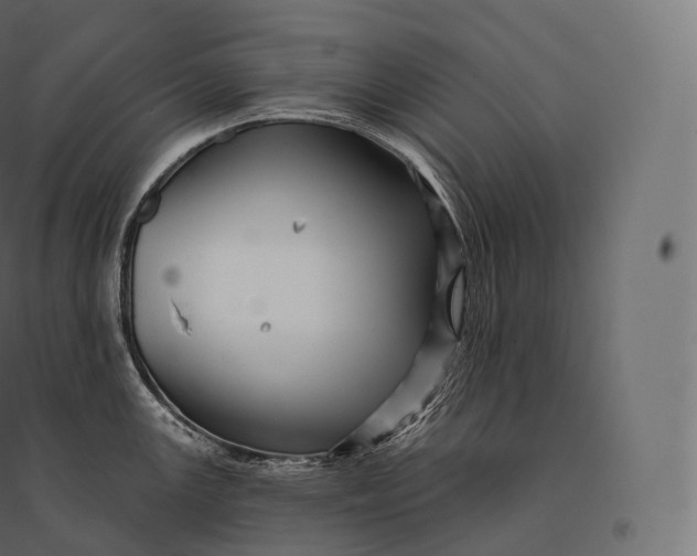 X0000094381147200711242016