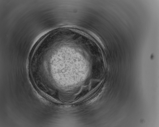 X0000094381149200711242016
