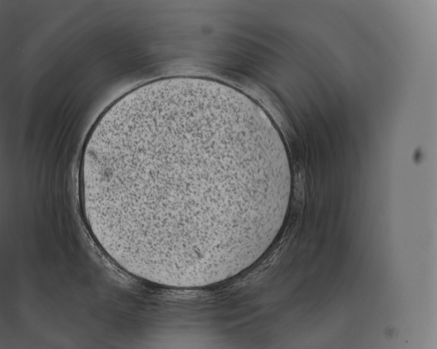 X0000094381150200711242016