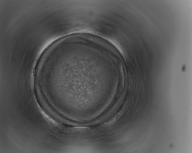 X0000094381151200711242016