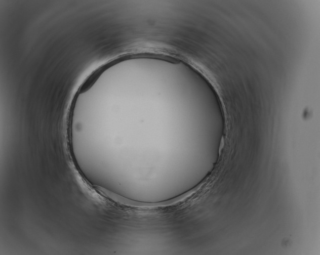 X0000094381152200711242016