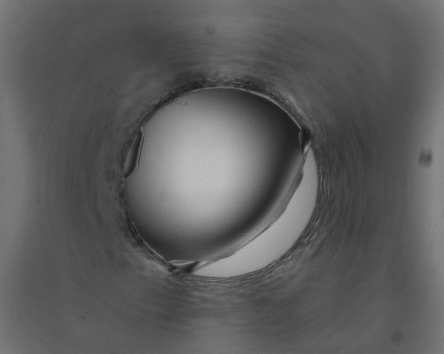 X0000094381153200711242016