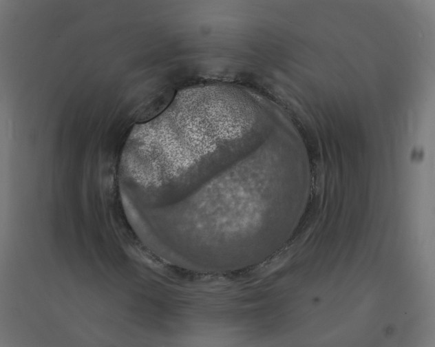 X0000094381154200711242016