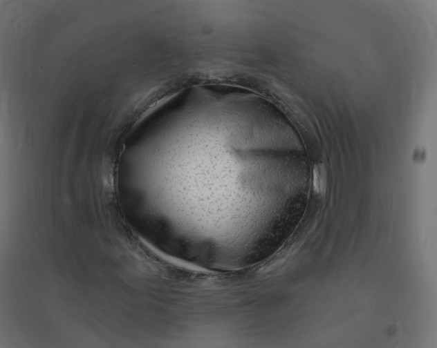 X0000094381155200711242016