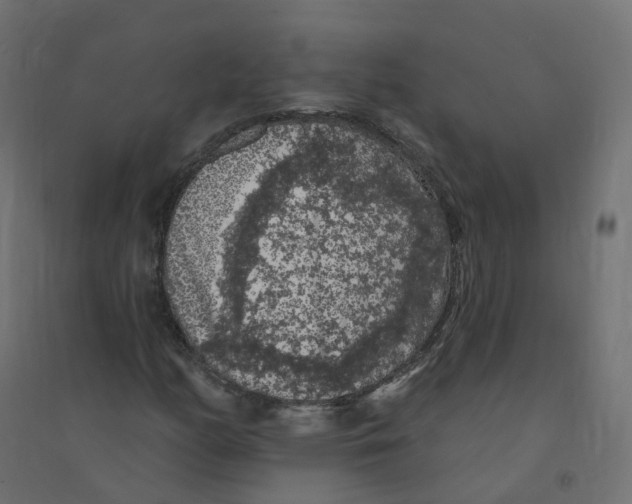X0000094381158200711242015